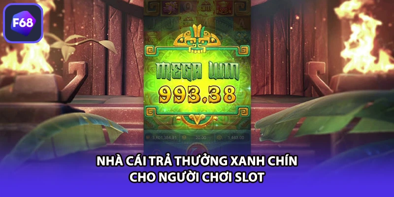 Nhà cái trả thưởng xanh chín cho người chơi slot